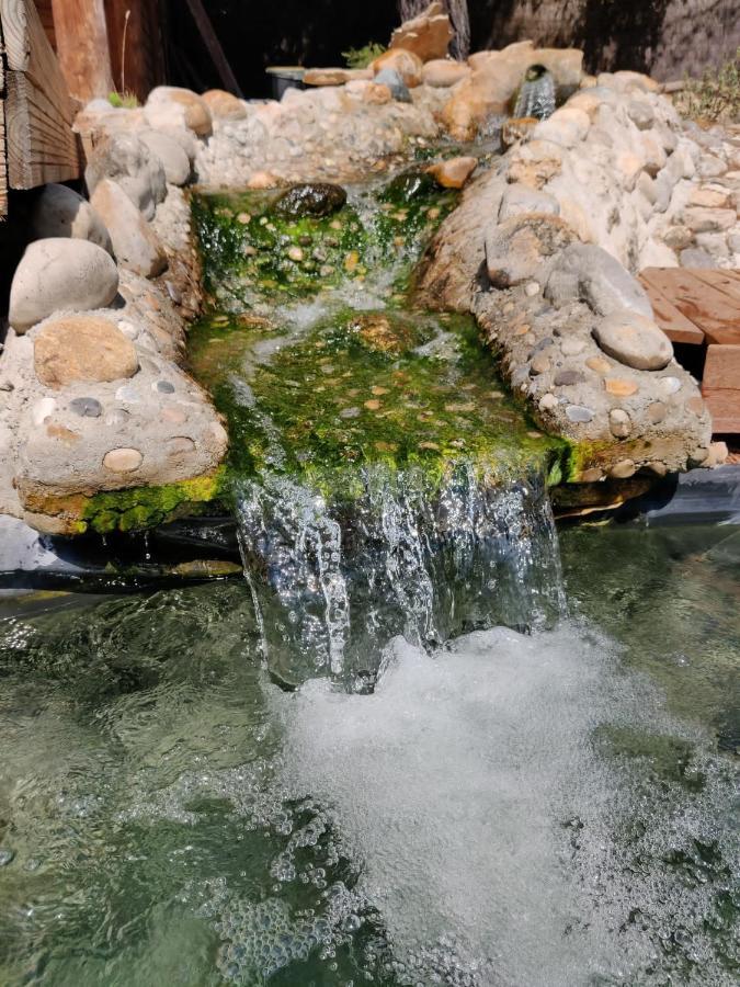 Uchaux L'Etang Des Cigales 아파트 외부 사진