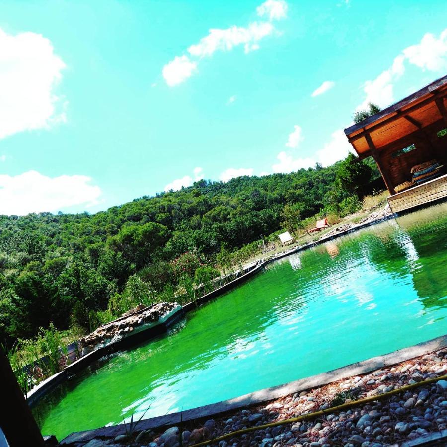 Uchaux L'Etang Des Cigales 아파트 외부 사진